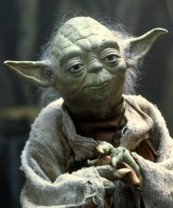 Yoda guru