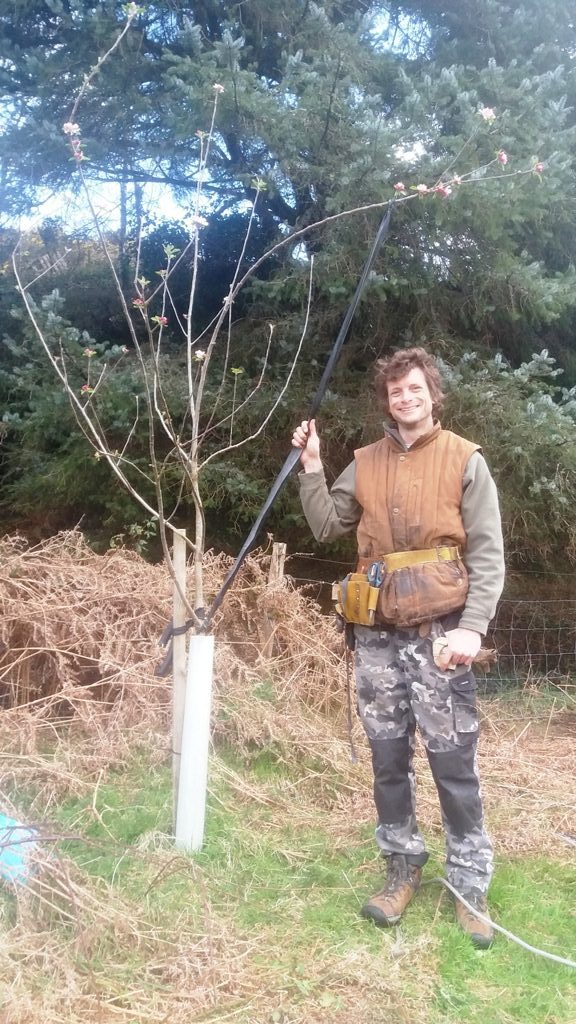 An Irish man and an apple tree