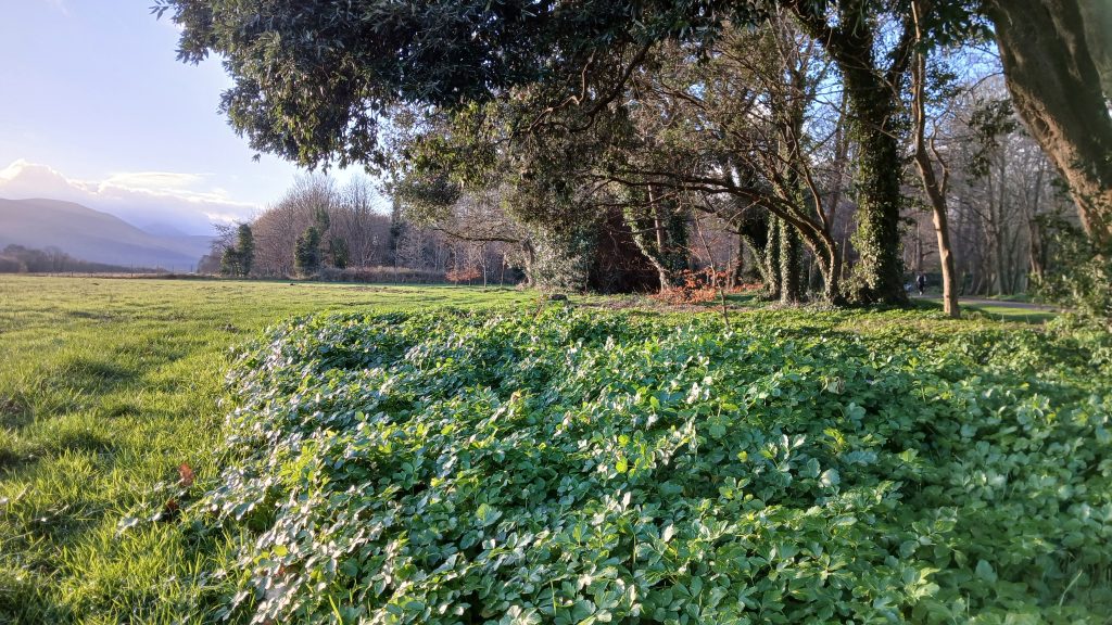 Kilarney House and Gardens, County Kerry