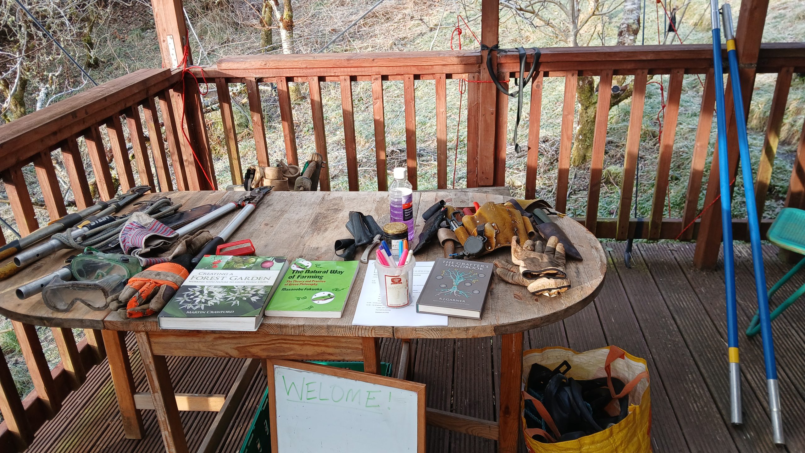 Orchard Pruning Workshop Story - Ansa Permaculture Design Ireland