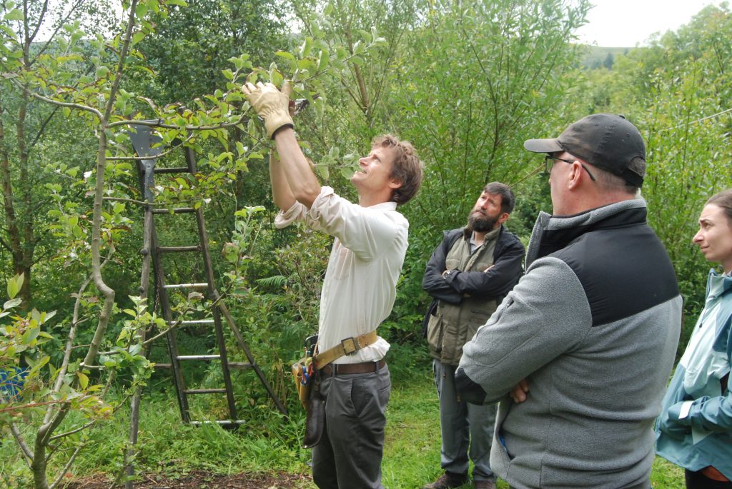 lorette summer pruning