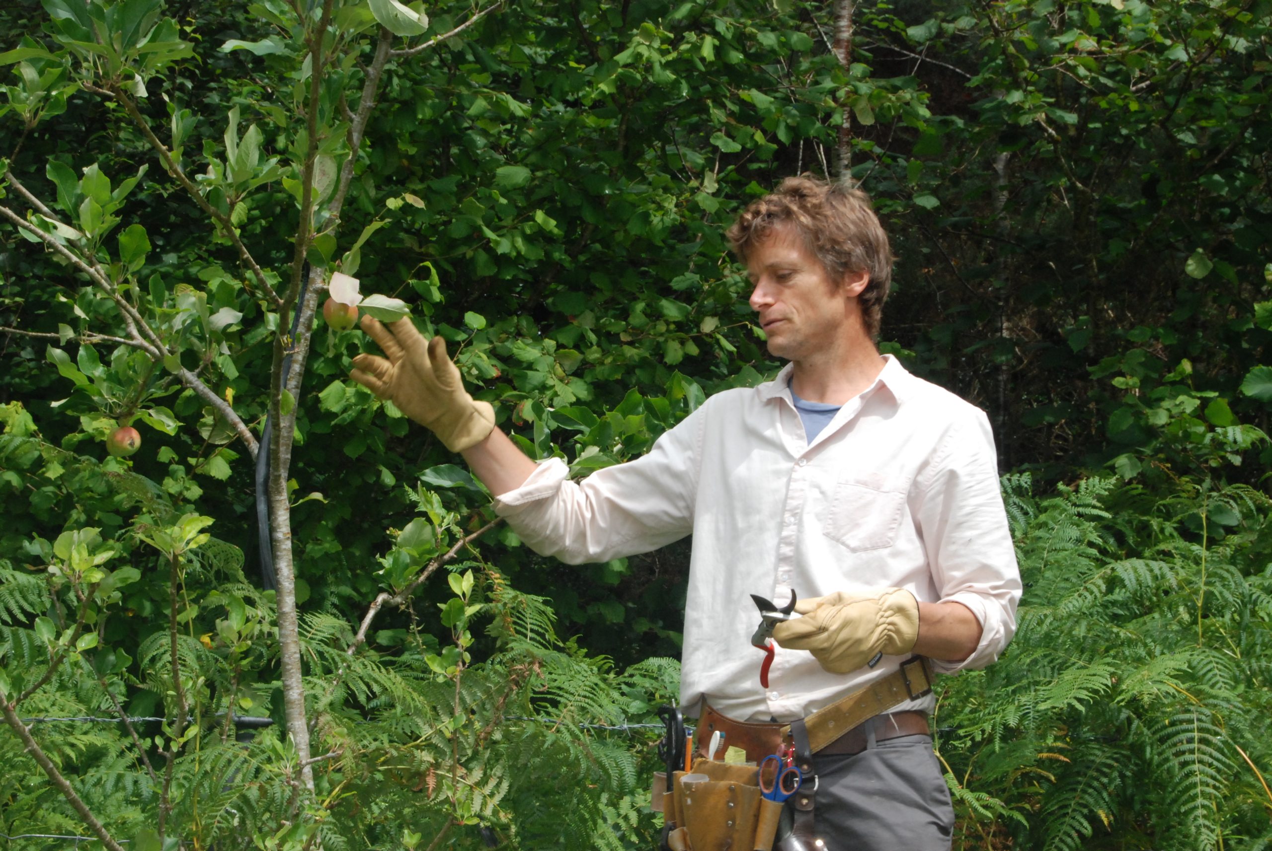 Summer Pruning Workshop Story - abundant fruit crop skills