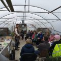 Teaching in a polytunnel